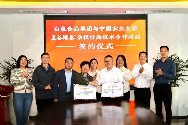 养杂粮挂面国民主食新选择麻将胡了模拟器白象五谷维